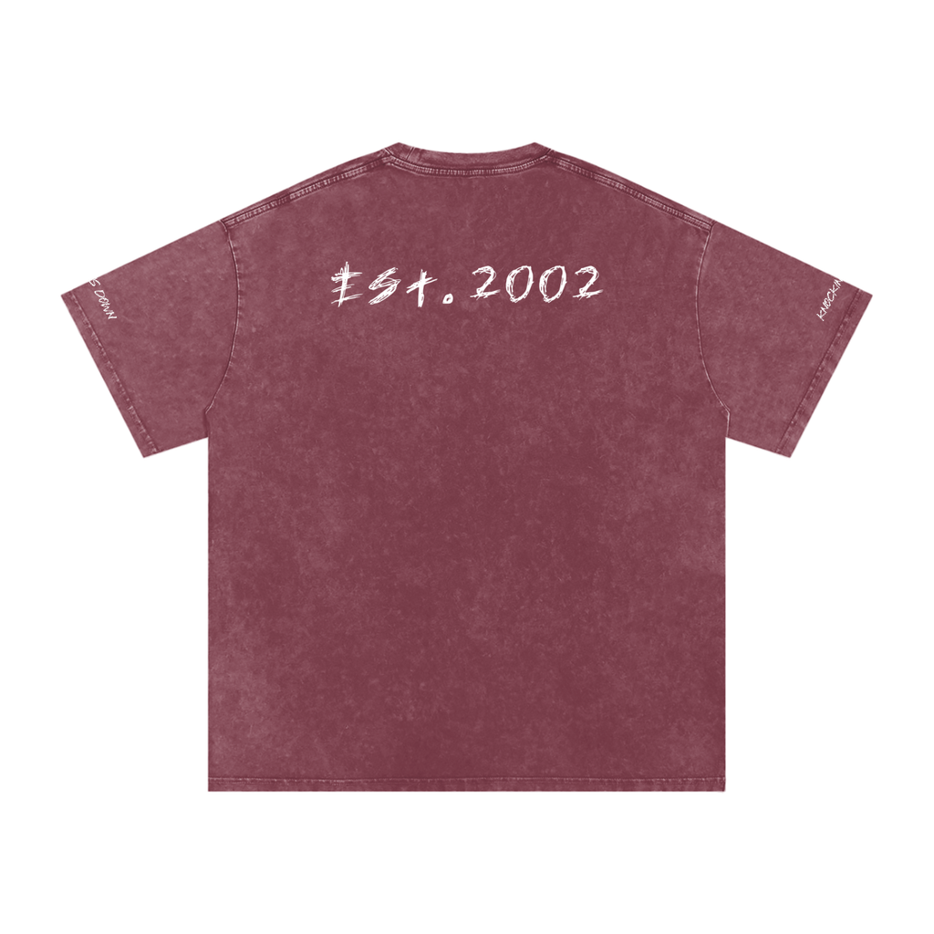 No Hard Felines Vol 1 - Graphic T-Shirt
