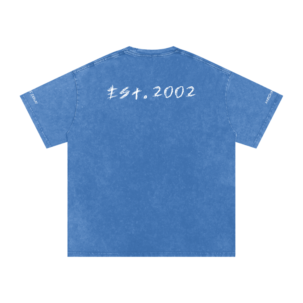 No Hard Felines Vol 1 - Graphic T-Shirt